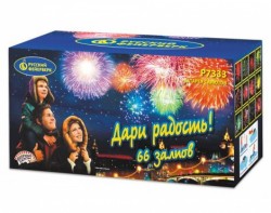 ������� ������� "���� �������" 0,8 � 66 ������